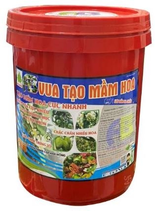 XÔ VUA TẠO MẦM HOA
