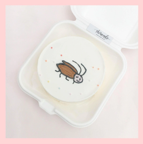 Mini Bento hình động vật dễ thương - Bánh kem bơ mini hộp bã mía