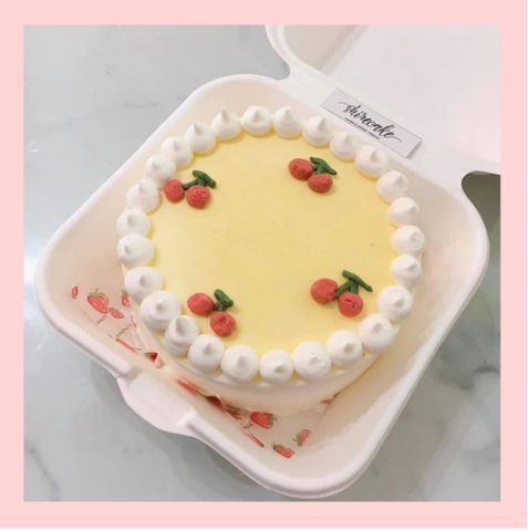 Mini Bento tone màu vàng - Bánh kem bơ mini hộp bã mía
