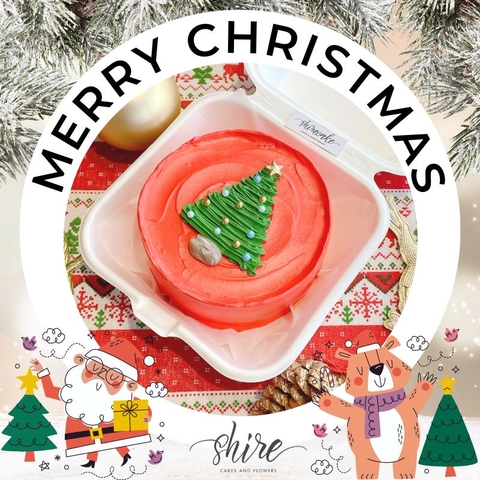 Mini Bento Giáng Sinh 2022 - Bánh kem bơ mini bento hộp bã mía