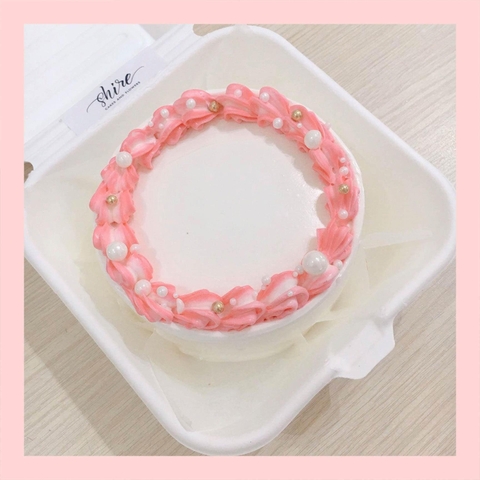 Mini Bento tone màu hồng - Bánh kem bơ mini hộp bã mía