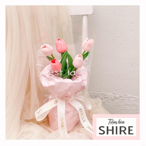 Hoa tulip dạng ụ