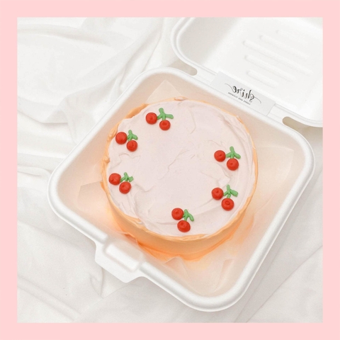Mini Bento trái cây khác - Bánh kem bơ mini hộp bã mía