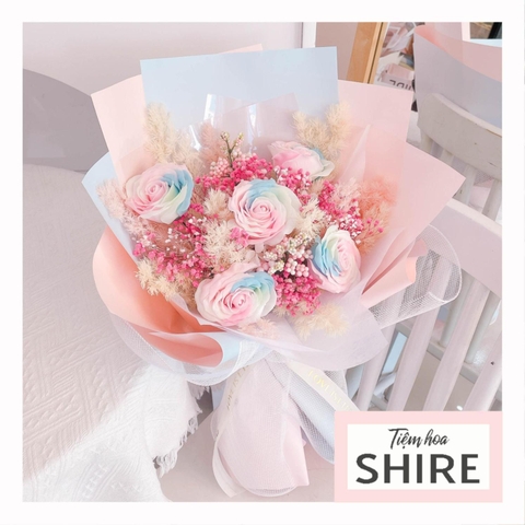 Hoa khô/Hoa bất tử size lớn tone màu hồng/xanh dương