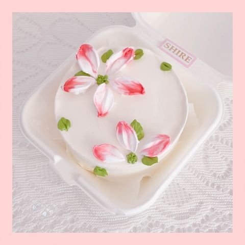 Mini Bento vẽ hoa lá - Bánh kem bơ mini hộp bã mía