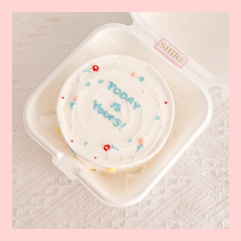 Mini Bento vẽ hoa lá - Bánh kem bơ mini hộp bã mía