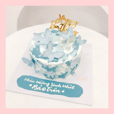 Bánh kem trang trí bướm - Bánh kem sinh nhật cho nữ