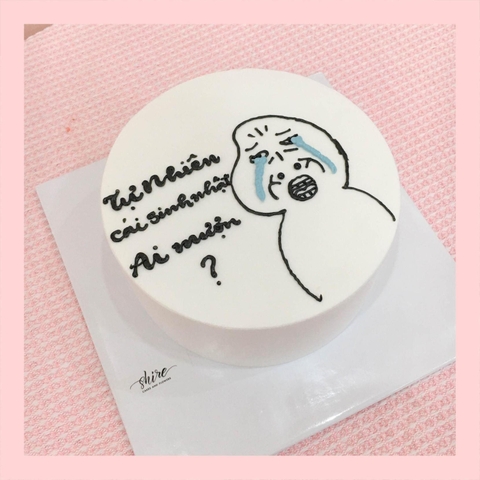 Bánh kem vẽ hình ngộ nghĩnh đáng yêu - Bánh kem sinh nhật