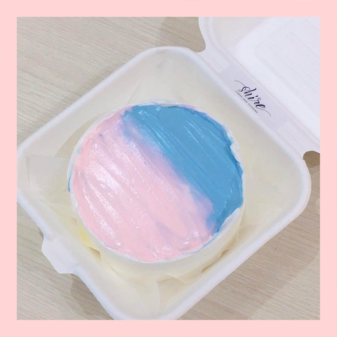 Mini Bento tone màu mix - Bánh kem bơ mini hộp bã mía