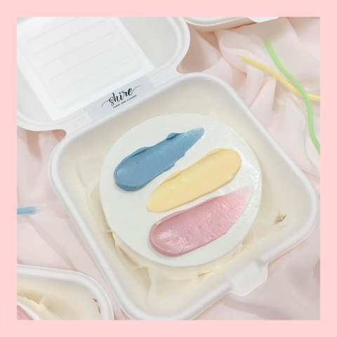 Mini Bento tone màu mix - Bánh kem bơ mini hộp bã mía
