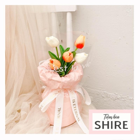 Hoa tulip dạng ụ