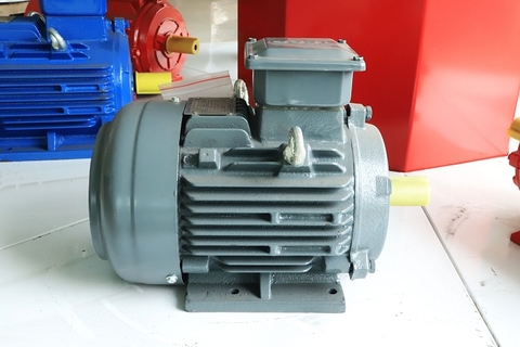 Động cơ 0.06kw 1 pha ELEKTRIM