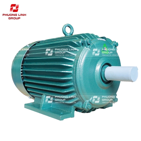 Động cơ 3 pha HEM 0.75kw IP55 IE1