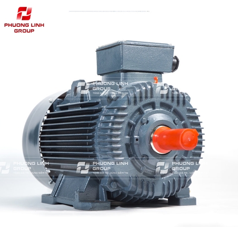 Động cơ điện 0.55kw 3 pha ENERTECH IP55-IE1