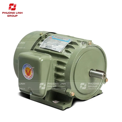 Động cơ điện HỒNG KÝ 0.75kw IP55 IE1