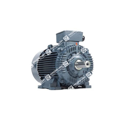 Động cơ 37kw 3 pha ELEKTRIM