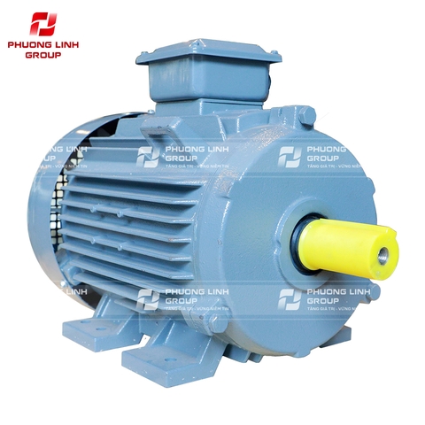 Động cơ 3 pha TECO 0.25kw 380V hộp cực liền