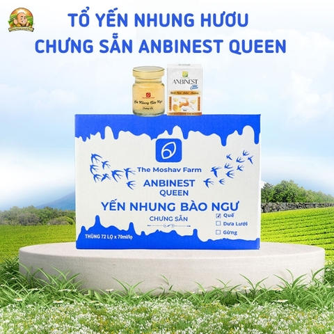 Tổ Yến Nhung Hươu Chưng Sẵn Anbinest Queen (Hũ 70ml)
