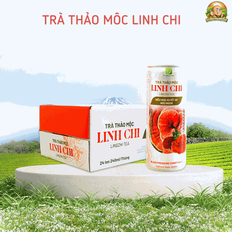 Trà thảo mộc nấm linh chi