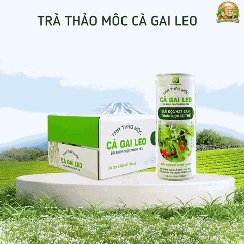 Trà thảo mộc cà gai leo