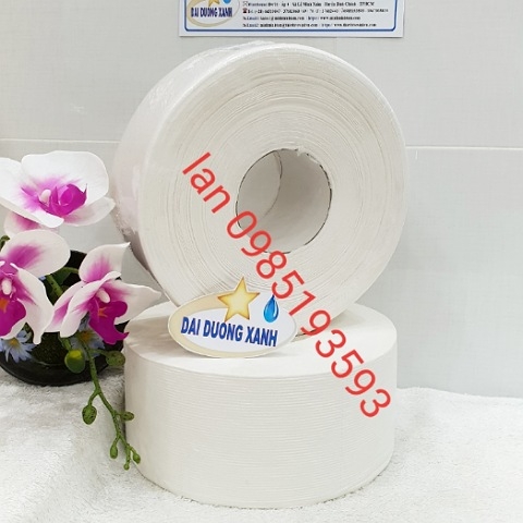 Giấy vệ sinh cuộn lớn 700gr