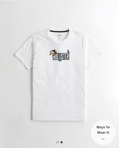 Áo thun nam Hollister Destination Tee