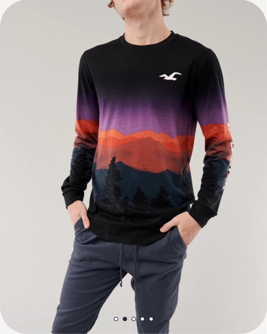 Áo thun nam Hollister Curved Hem T-Shirt