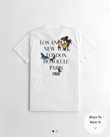 Áo thun nam Hollister Destination Tee