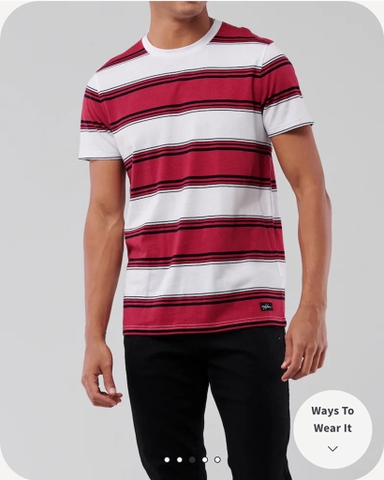Áo thun nam Hollister Striped Crewneck T-Shirt