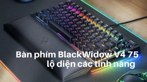 RAZER BlackWidow V4 75 lộ diện với các tính năng mới