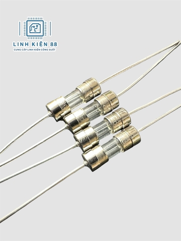 Cầu chì thủy tinh 10A 250V 3.6x100mm chân cắm