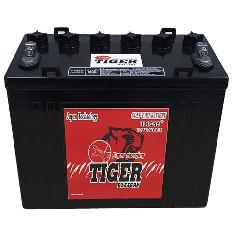 ẮC QUY XE ĐIỆN TIGER, T-1285, 12V-160AH