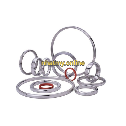 Vòng đệm kim loại RTJ