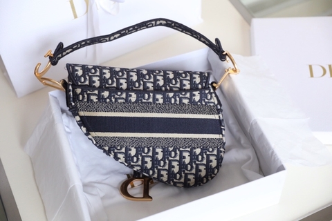 DIOR Sadle Oblique Logo MO446CRIW