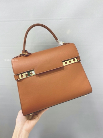 Delvaux Tempête MM in Silky Calf AA0611BQS Vegetal - Ivory