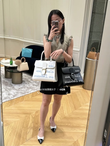 Delvaux L'Humour MM in Box Calf AA0661AAM