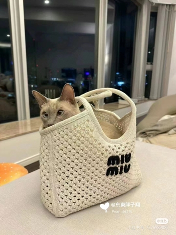 Miu Miu 5BG281_2F8E_F0N13_V_OOO IVY mesh cotton bag Chalk White/Black M1