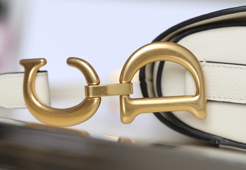 DIOR SADDLE BAG Latte Grained Calfskin