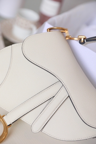 DIOR Mini SADDLE BAG Latte Grained Calfskin