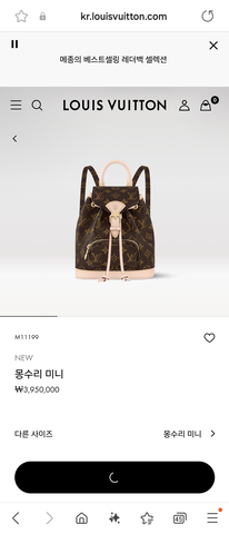 Louis Vuitton M11199 Montsouris Mini