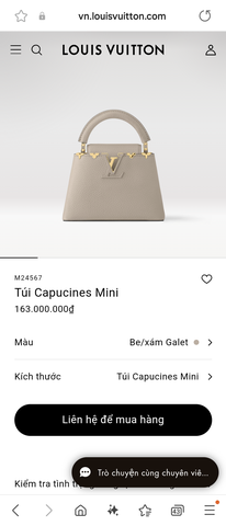 Louis Vuitton M24567 Capucines Mini