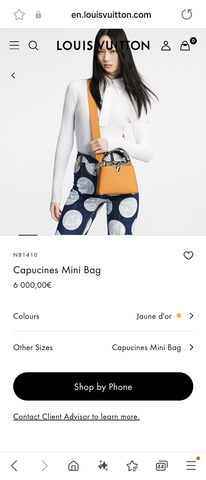 LOUIS VUITTON N81410 Capucines Mini Bag