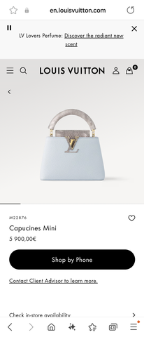 Louis Vuitton M22876 Capucines Mini