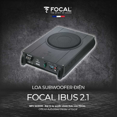Focal IBUS 2.1