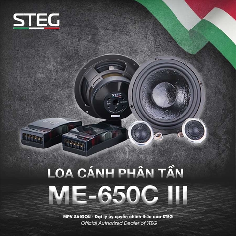 LOA CÁNH PHÂN TẦN - LOA STEG ME-650C III