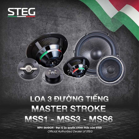 Loa 3-way Master Stroke MSS1, MSS3, MSS6