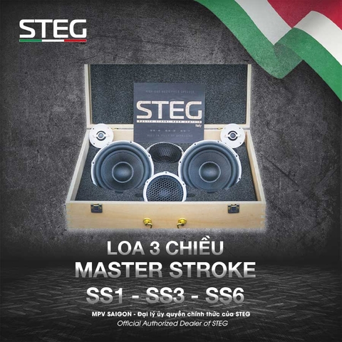 Loa 3-way Master Stroke SS-1, SS-3, SS-6 dòng loa Hi-end cao cấp