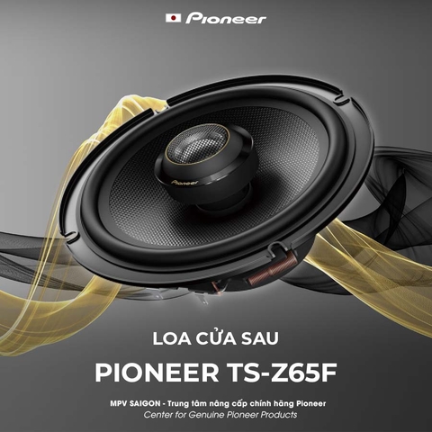 Pioneer - Loa cửa sau TS-Z65F