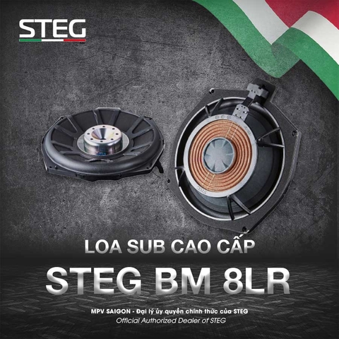 Loa sub STEG BM 8L_R
