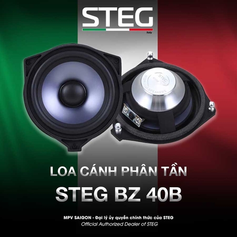 Loa cánh STEG BZ 40B